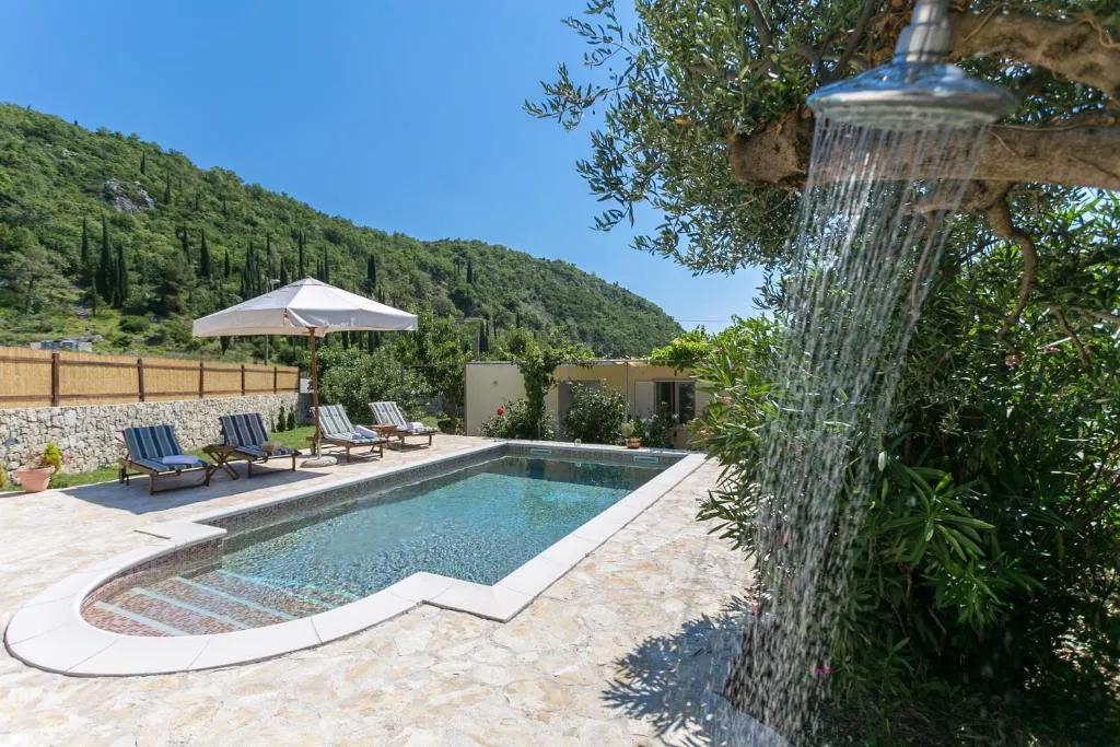 Outdoor shower beside the pool, shaded by an olive tree